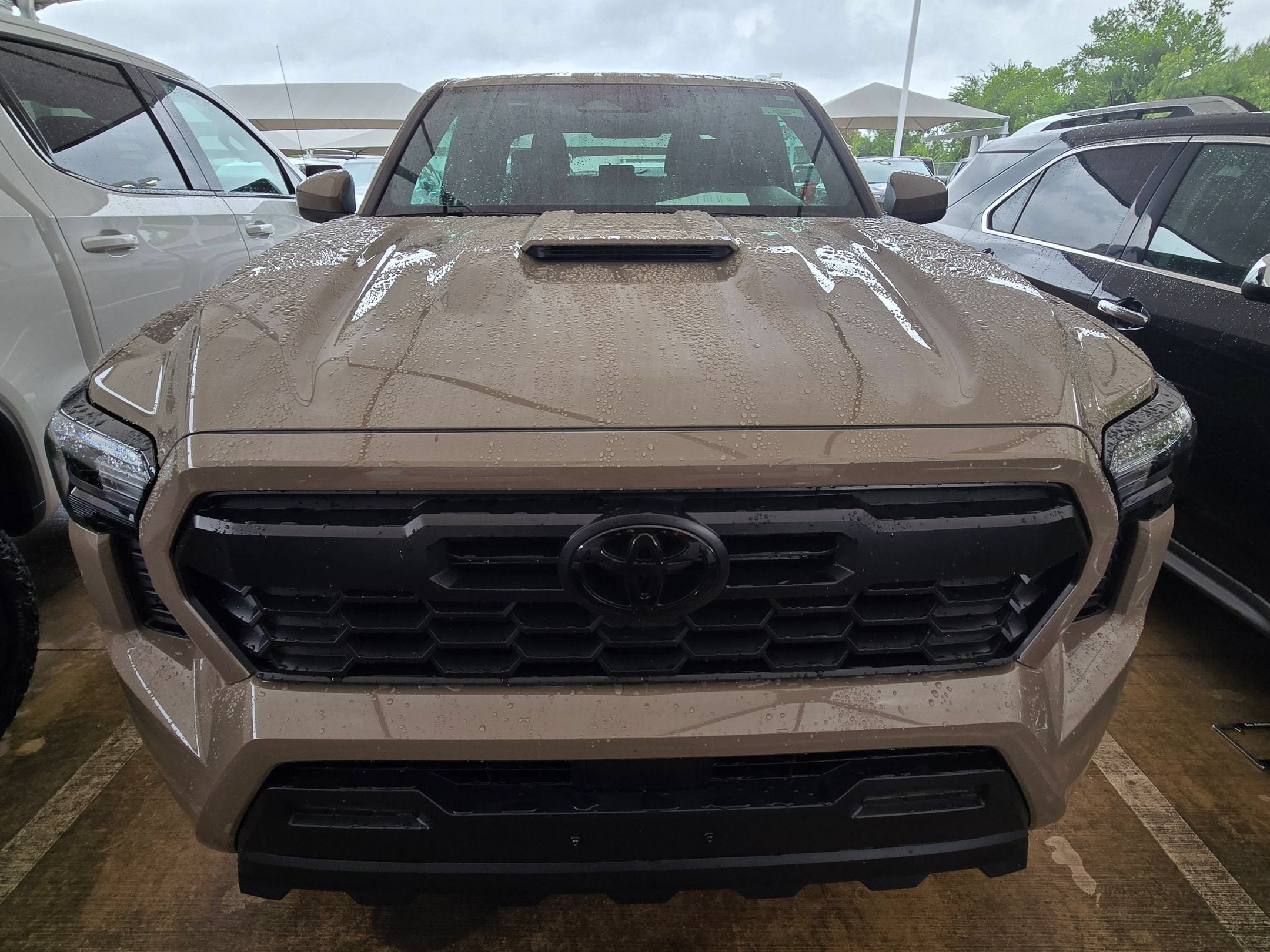 2026 Toyota Tacoma 4WD TRD Sport