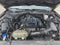 2019 Ford Mustang Base